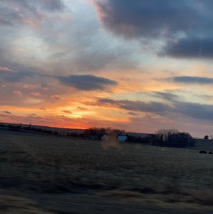 Meet your Posher, Ella